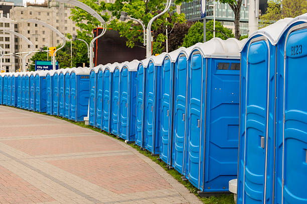 Best Standard Portable Toilet Rental  in Dilworth, MN